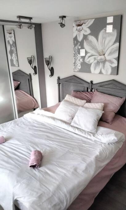 Maison Cosy Et Spa Zen Au Chemin Du Bonheur Hondschoote Экстерьер фото